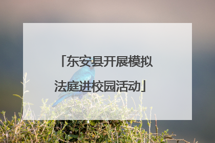 东安县开展模拟法庭进校园活动
